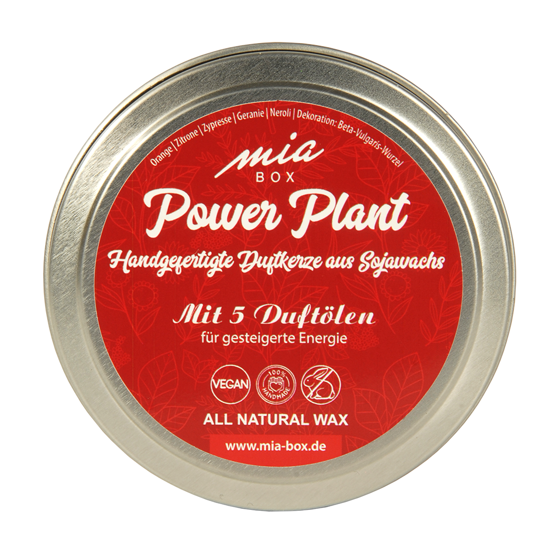 Power Plant